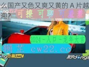 为什么国产又色又爽又黄的 A 片越来越受欢迎？