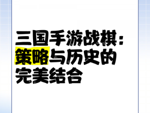 三国志战棋版权时紧急应对策略下的策略成效解析：研究其与市场竞争优势相结合后的市场拯救效果探究