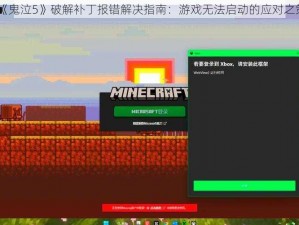 《鬼泣5》破解补丁报错解决指南：游戏无法启动的应对之策