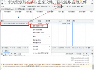 小烧货水能么多叫出来软件，轻松提取音频文件