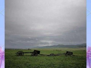 青青草原导航——一键获取草原旅游必备信息