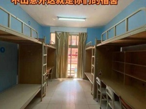 大学宿舍 203 寝室之白哪：为何它如此神秘？如何找到答案？