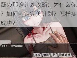 希露薇の那啥计划攻略：为什么你还没开始？如何制定完美计划？怎样实施并取得成功？