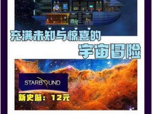 星界边境：探索金属木的奥秘——解析其用途与价值