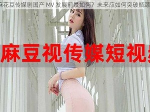 麻花豆传媒剧国产 MV 发展前景如何？未来应如何突破瓶颈？