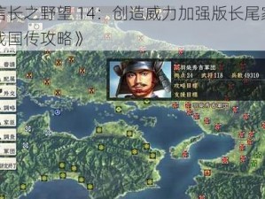 《信长之野望 14：创造威力加强版长尾家新增战国传攻略》