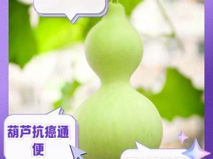 蜜芽 768mon 二区忘忧草葫芦为什么这么受欢迎？