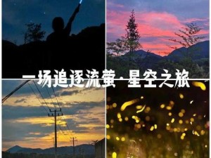 麻花星空无限 mv 为何如此受欢迎？