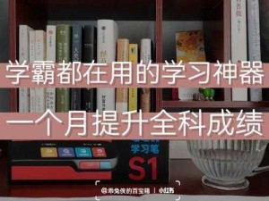 这款学霸专用学习神器，将棍子与学习完美结合，让你在背单词的同时享受舒适体验