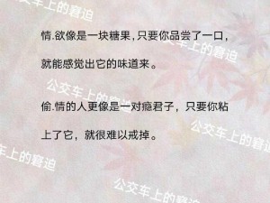 公交车上强伦人妻专用座椅，舒适减压，让你的出行更轻松