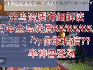 《妄想山海》金乌幻影攻略详解：获取方法与技巧分享助你轻松掌握秘术精髓