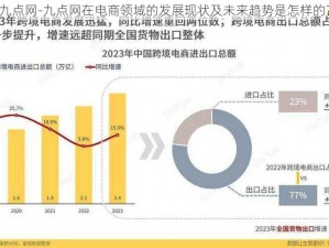 九点网-九点网在电商领域的发展现状及未来趋势是怎样的？