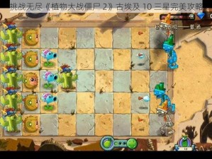 挑战无尽《植物大战僵尸 2》古埃及 10 三星完美攻略