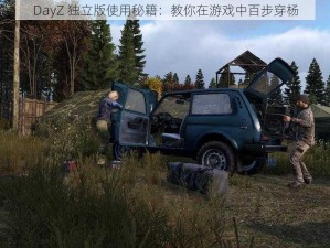 DayZ 独立版使用秘籍：教你在游戏中百步穿杨