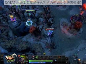 DOTA2 小绿本究竟是什么？它为何如此受玩家追捧？