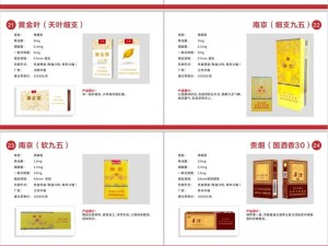 国产精品 999有哪些优点？为何备受消费者青睐？