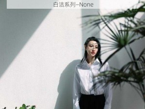 白洁系列—None