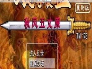 《深入探索《真三国无双》游戏中路人飞行的独特心得与策略》