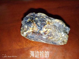 龙涎香来自于以下哪种海洋生物【龙涎香来自于以下哪种海洋生物？是抹香鲸还是其他海洋生物呢？】