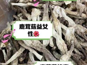 大蘑菇进入子宫的 10 个原因：有效缓解女性经期不适