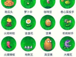 《植物大战僵尸：花园战争》全角色效果列表大揭秘