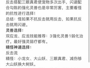 关于神魔仙界锁妖塔的深入攻略指南