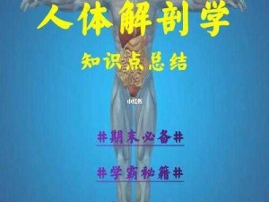 《探索伊洛纳解剖学：在哪里可以学到这门神秘学科？》