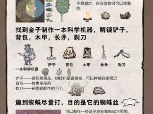 饥荒新手简易开局攻略：生存策略与快速发展之道