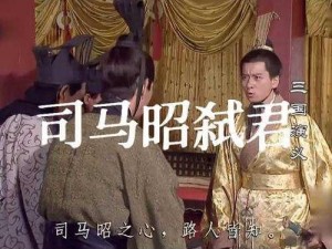 《曹魏荣耀之路：真三国无双6帝国中曹将官爵晋升纪实》