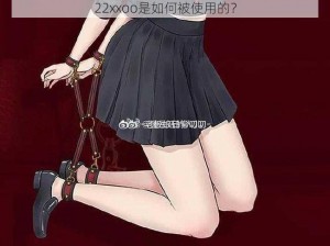 22xxoo是如何被使用的？