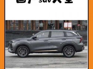 国产SUV精品一区二区69-请详细介绍一下国产 SUV 精品一区二区 69 的具体车型、性能及价格等信息