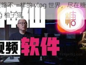 带你领略不一样的 vlog 世界，尽在糖心短视频 vlog 柚子猫