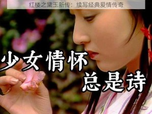 红楼之黛玉新传：续写经典爱情传奇