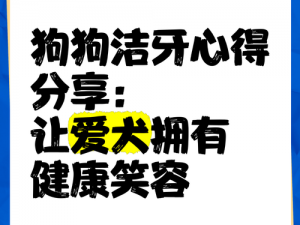 狗狗的又大又硬，营养美味，磨牙洁齿，让爱宠健康成长