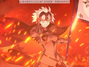 fgo 黑贞德为什么这么强？如何获取？有哪些培养技巧？