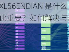 14MAY18XXXXL56ENDIAN 是什么？为什么它如此重要？如何解决与之相关的问题？