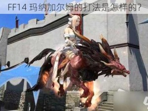 FF14 玛纳加尔姆的打法是怎样的？