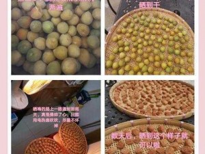 蜜汁青梅 C1V1：为什么有些人喜欢它？如何制作？有哪些食用禁忌？