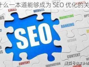 为什么一本道能够成为 SEO 优化的关键？