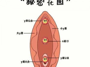 XX 牌 WW 网站女生福利，私密处的贴心呵护