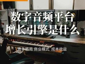 骚麦网，高品质的音频产品销售平台