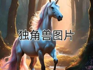 上古卷轴4：驯服神秘独角兽的攻略秘籍