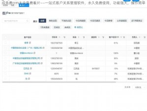 成免费crm大全免费看片——一站式客户关系管理软件，永久免费使用，功能强大，操作简单