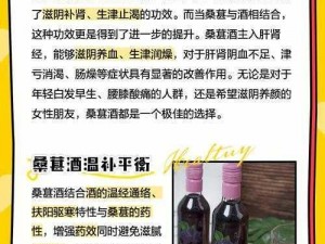 探索江湖悠悠：桑葚酒获取秘籍，让你轻松拥有