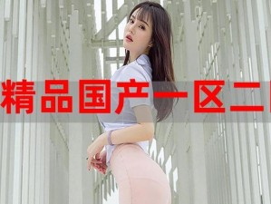 91 国精产品新，为何如此受欢迎？有何独特之处？如何满足用户需求？