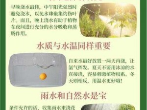 《一小时人生》复耕技巧大揭秘：快速浇水方法分享