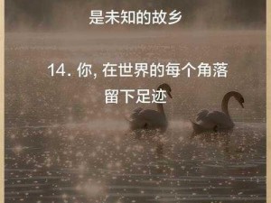 新手打造世界：分享入门心得，助力探索之旅