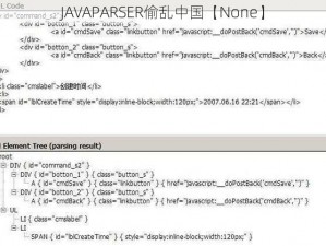 JAVAPARSER偷乱中国【None】