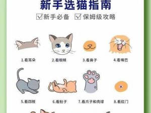 猫扑贴贴 猫扑贴贴：如何在猫扑贴贴上发布高质量的内容并吸引更多关注？