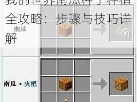 我的世界南瓜种子种植全攻略：步骤与技巧详解